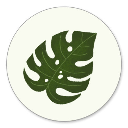 Monstera blad